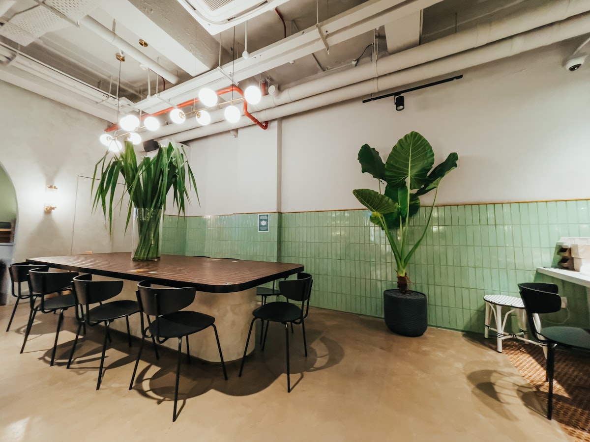 グリーンと植物のあかるい店内
